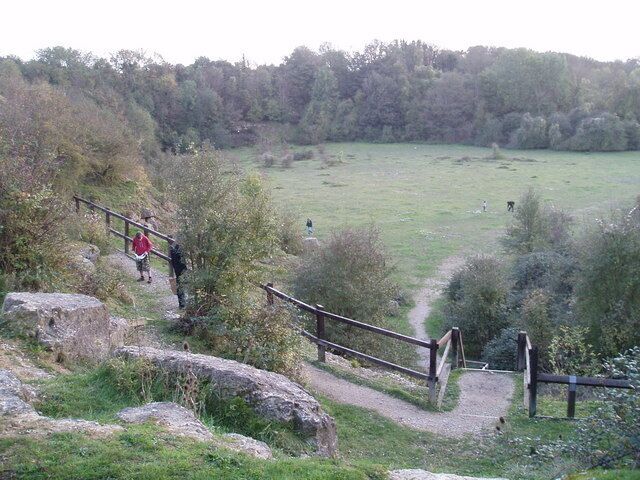 A hiking trail with wooden railings, surrounded by grass and trees.