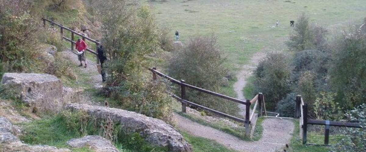 A hiking trail with wooden railings, surrounded by grass and trees.