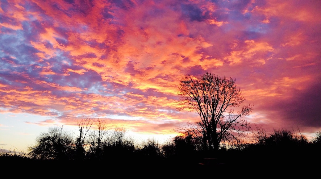 If you like walking and fantastic sun rises the Quantock Hills are for you!!