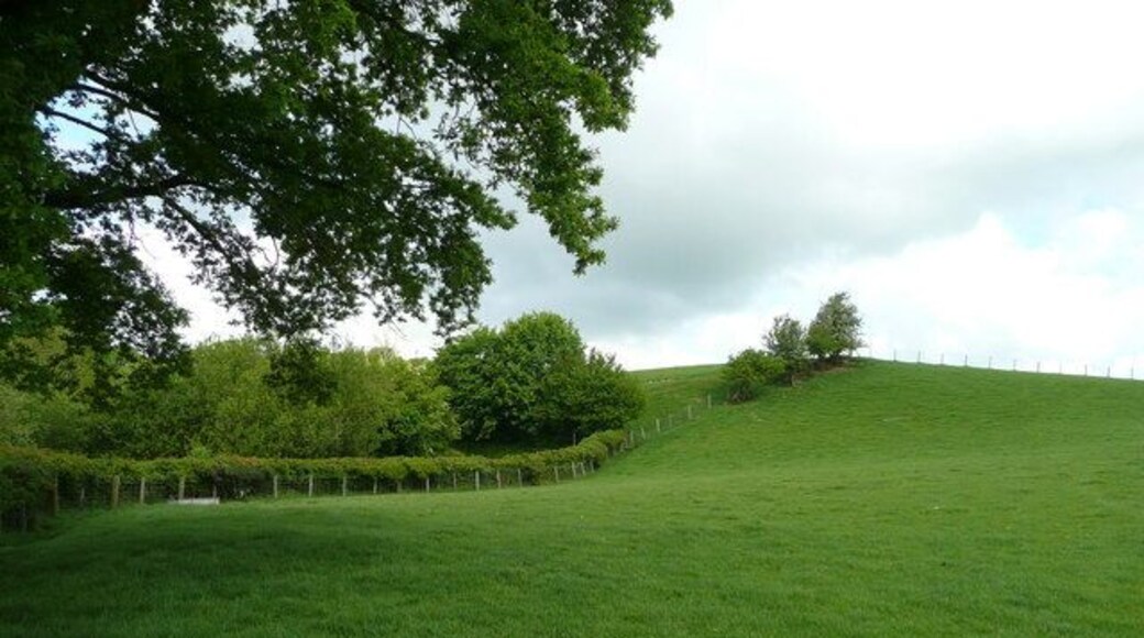 Rolling pasture View north of Hengoed Lane south of Huntington.