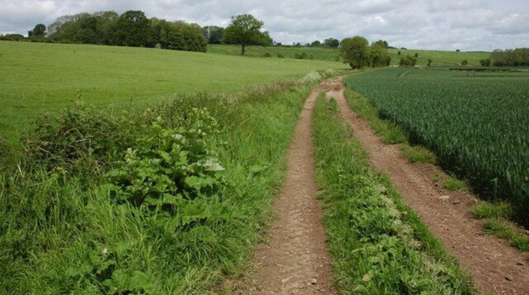 Course of former railway near Elsdon Course of the long disused Kington to Eardisley railway. The line used to link Kington with Eardisley and the former Midland, Hereford, Hay and Brecon line. This branch line was opened in 1874, though closed pre-Beeching as the 1940s OS maps show the line as disused.