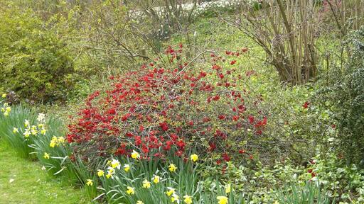 Hergest Croft Gardens