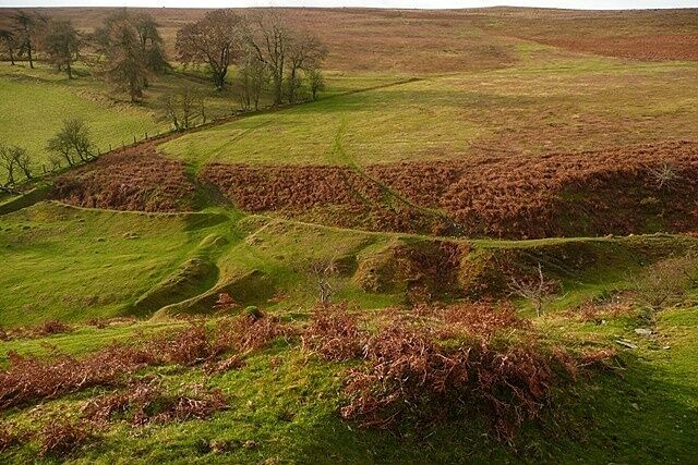 Across Cwm Griffin The cwm flows to the left towards Upper Ffynnonau. This is looking west across to the point, clearly shown on the 1:25K map, where the access land turns sharp left by a stand of trees.
