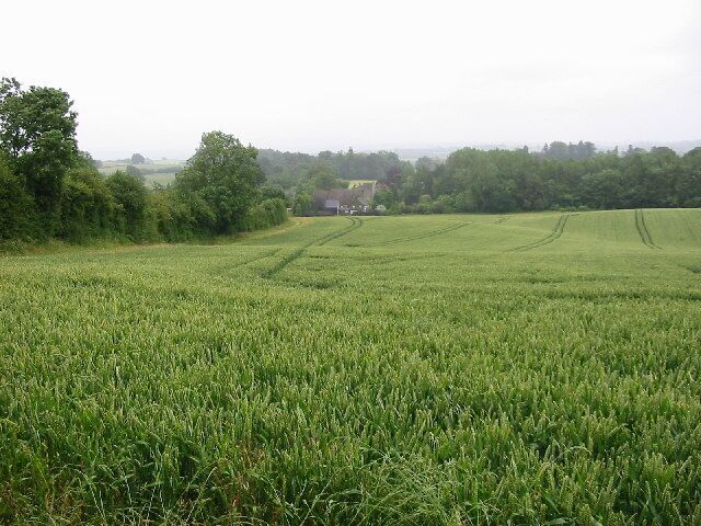 Titley Church. Taken from about SO330603 from the Mortimer Trail in the field just behind the church. SMR record is at http://www.smr.herefordshire.gov.uk/db.php?smr_no=7094