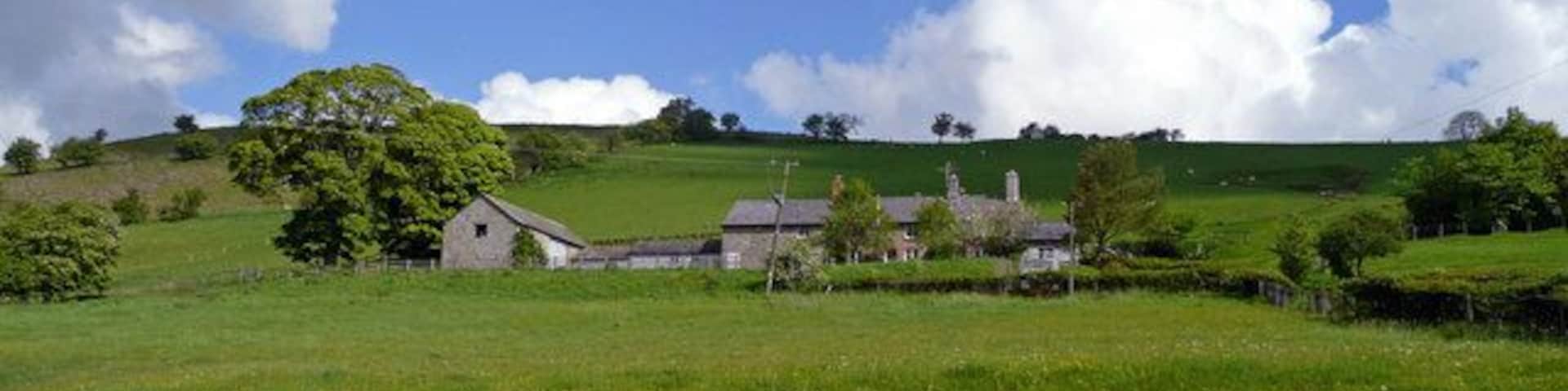 Um campo verde com uma casa de pedra, uma árvore grande e colinas ondulantes sob um céu azul.