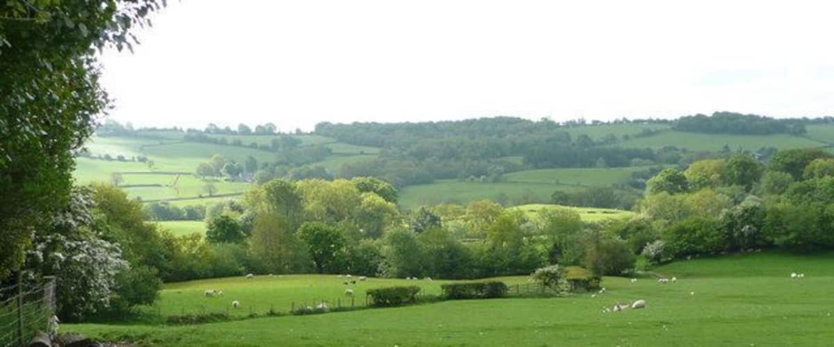 A green field with sheep, rolling hills, and trees.
