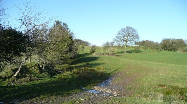 Hillside above Blaencerde Typical hill pasture in East Wales.