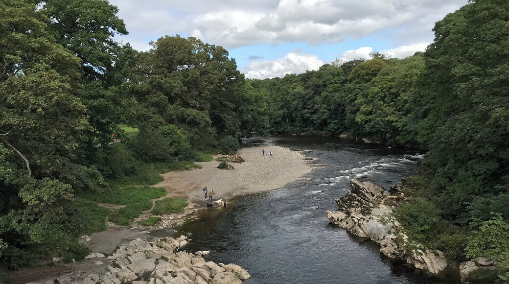 View from a Devilish height