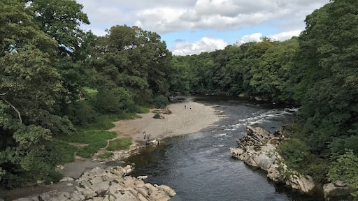 View from a Devilish height