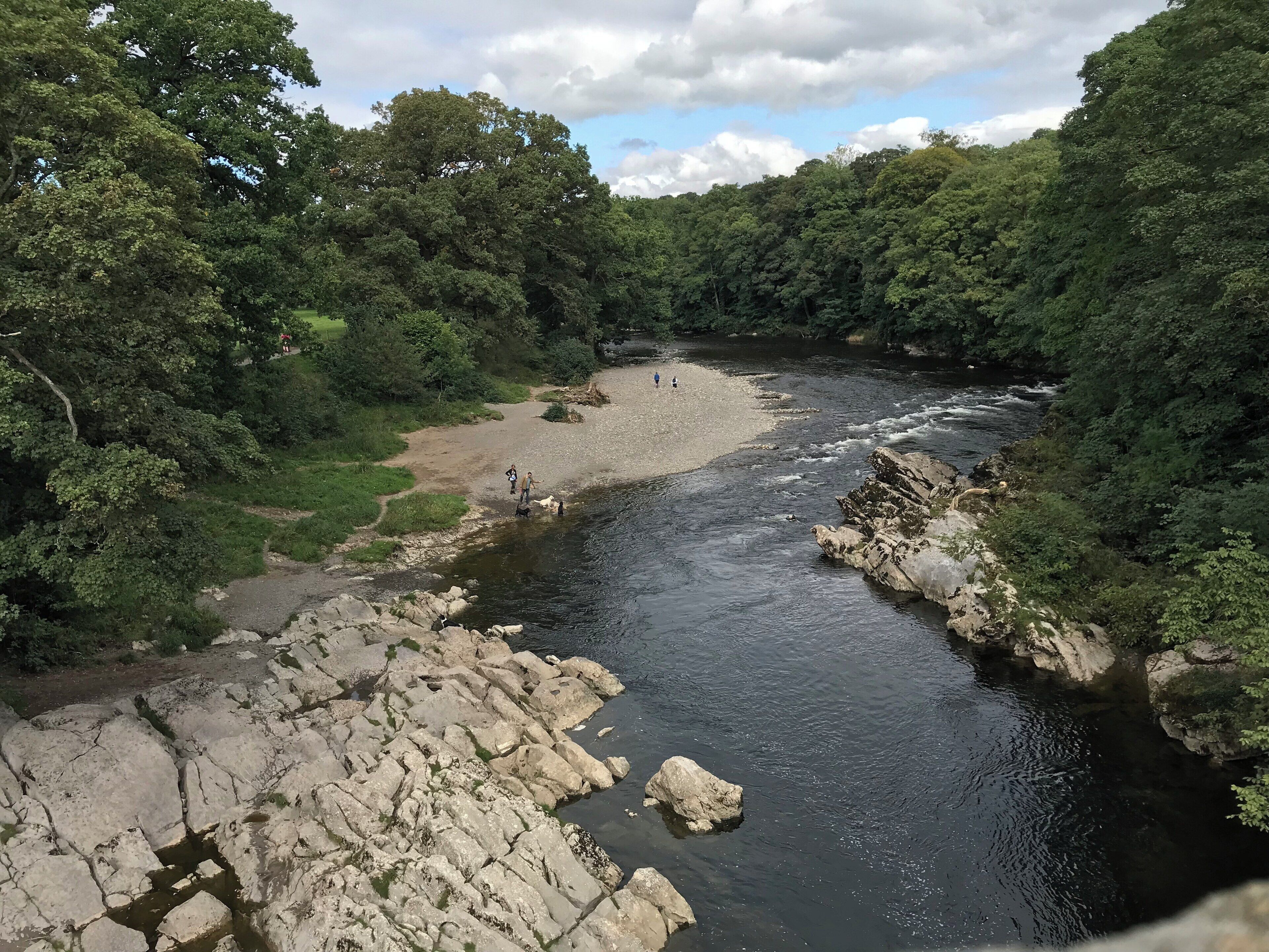 A river flowing through a forested area with rocky banks and a sandy beach.
