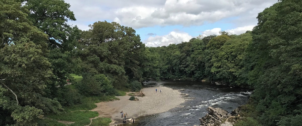 A river flowing through a forested area with rocky banks and a sandy beach.