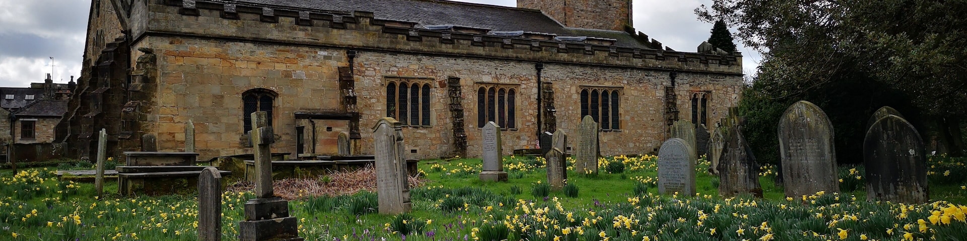 The churchyard at St Mary's is full of Spring Flowers. :)