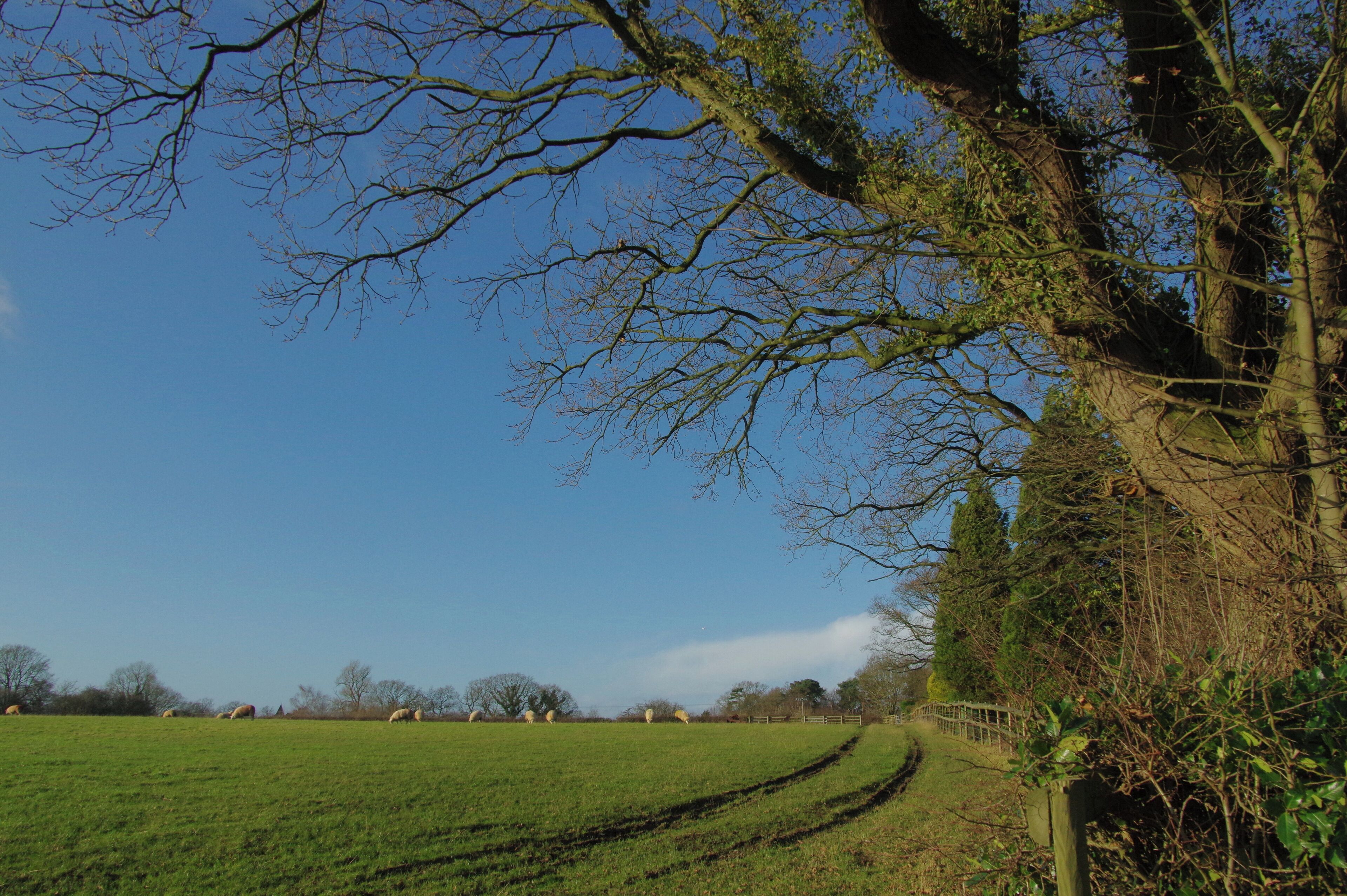20.12.15 Mobberley Morris Dancing
