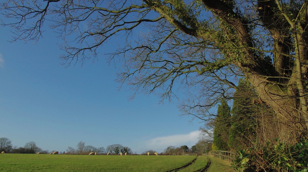 20.12.15 Mobberley Morris Dancing