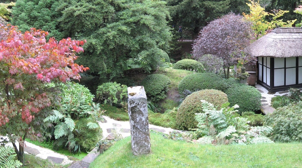 Japanese Garden, Tatton Park.