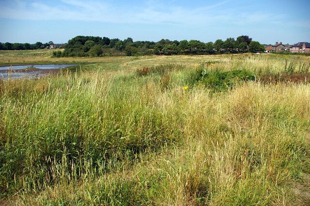 Nature Reserve 2 - Town Lane