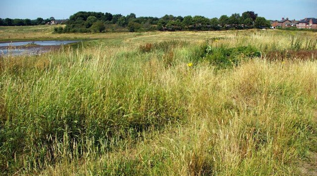 Nature Reserve 2 - Town Lane