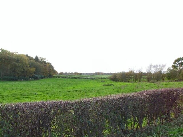 Woods at Mere. Halfway between Mere and Hoo Green on the A50 is a layby, from which this shot to the southwest shows a corner of the woods behind Mere Hall.