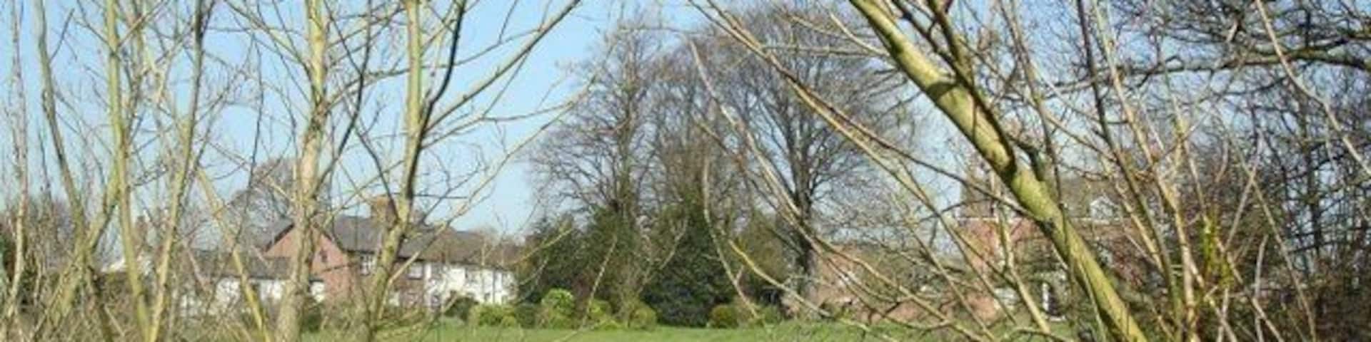 Pond at Pickmere Pond at corner of Park Lane and Frog Lane, Pickmere. Wallhill Farm in right background.