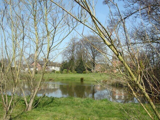 A pond surrounded by trees and houses in a park.