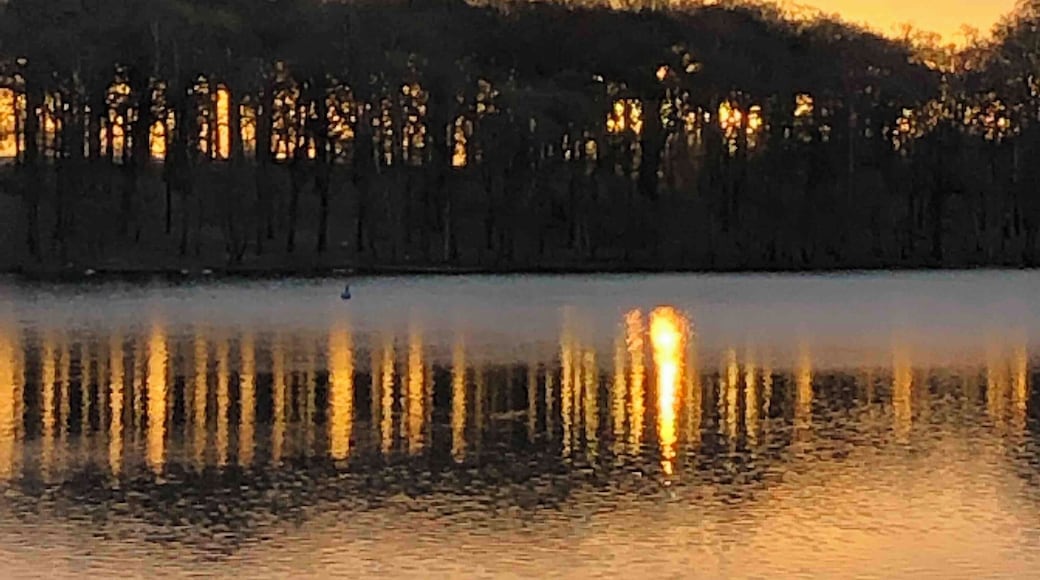 The sun rising behind the trees over Tatton mere. Beautiful place to be before the doors are open to cars. Walking or riding through are a must.