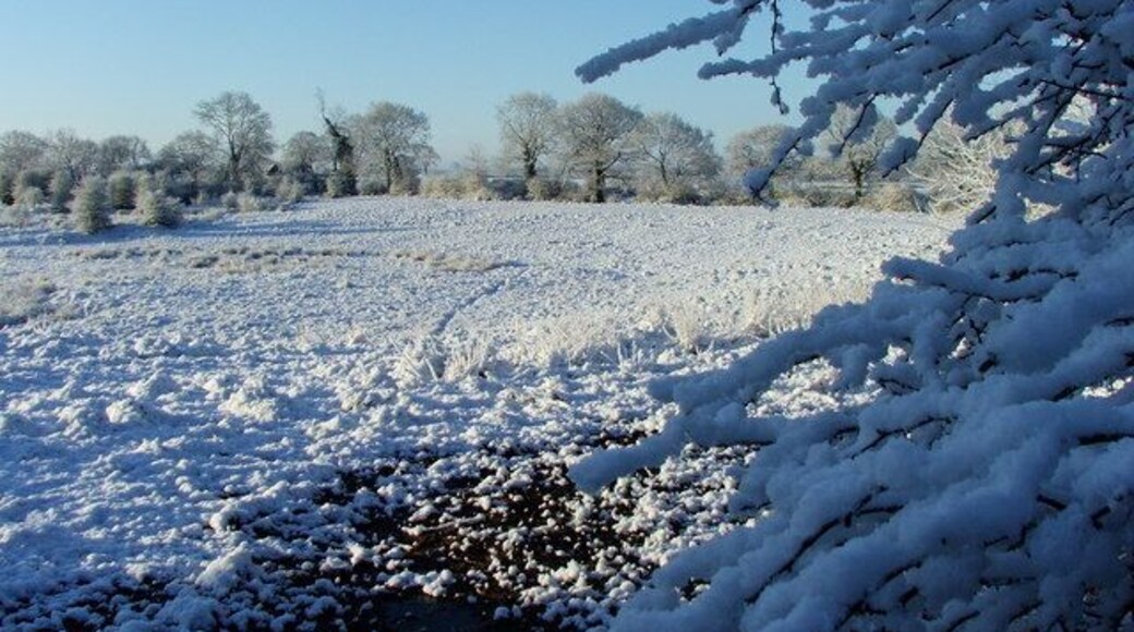Mobberley Nature Reserve from Townfield Road Image was taken 06/04/08