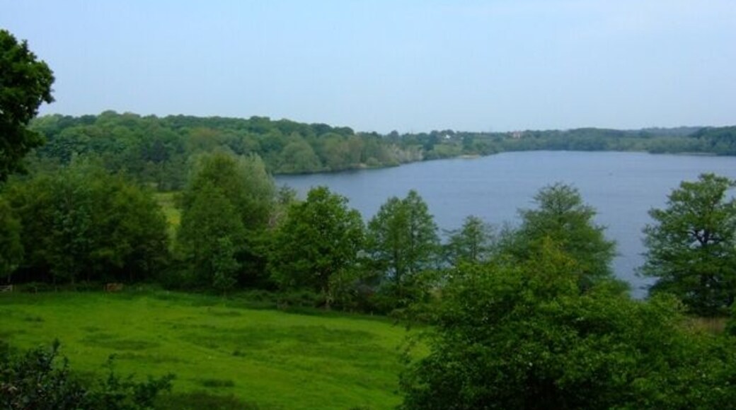 Rostherne Mere National Nature Reserve The reserve is a mere with adjacent ancient semi-natural woodland. Access is by permit only.