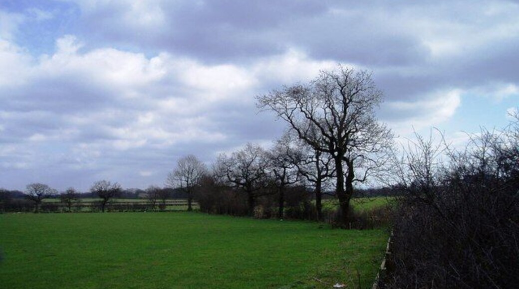 Cheshire countryside looking towards Mere The busy M6 does little to diminish the beauty of the Cheshire countryside.