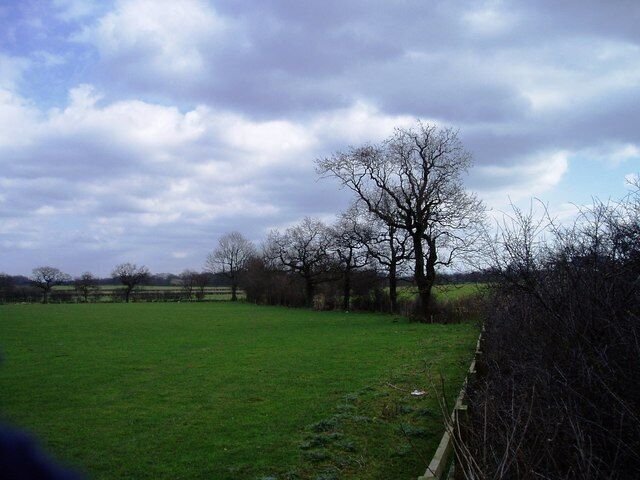 A rural landscape with a large open field, a prominent leafless tree, and a cloudy sky.