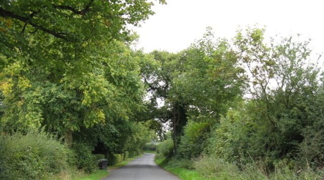 Lady Lane Lady Lane originally ran from the junction of Church Lane and Hobcroft Lane at SJ790806 to the junction of Wood Lane and Ostlers Lane at SJ795817. The latter junction and the northern end of Lady Lane was lost when Manchester Airport's second runway was constructed.