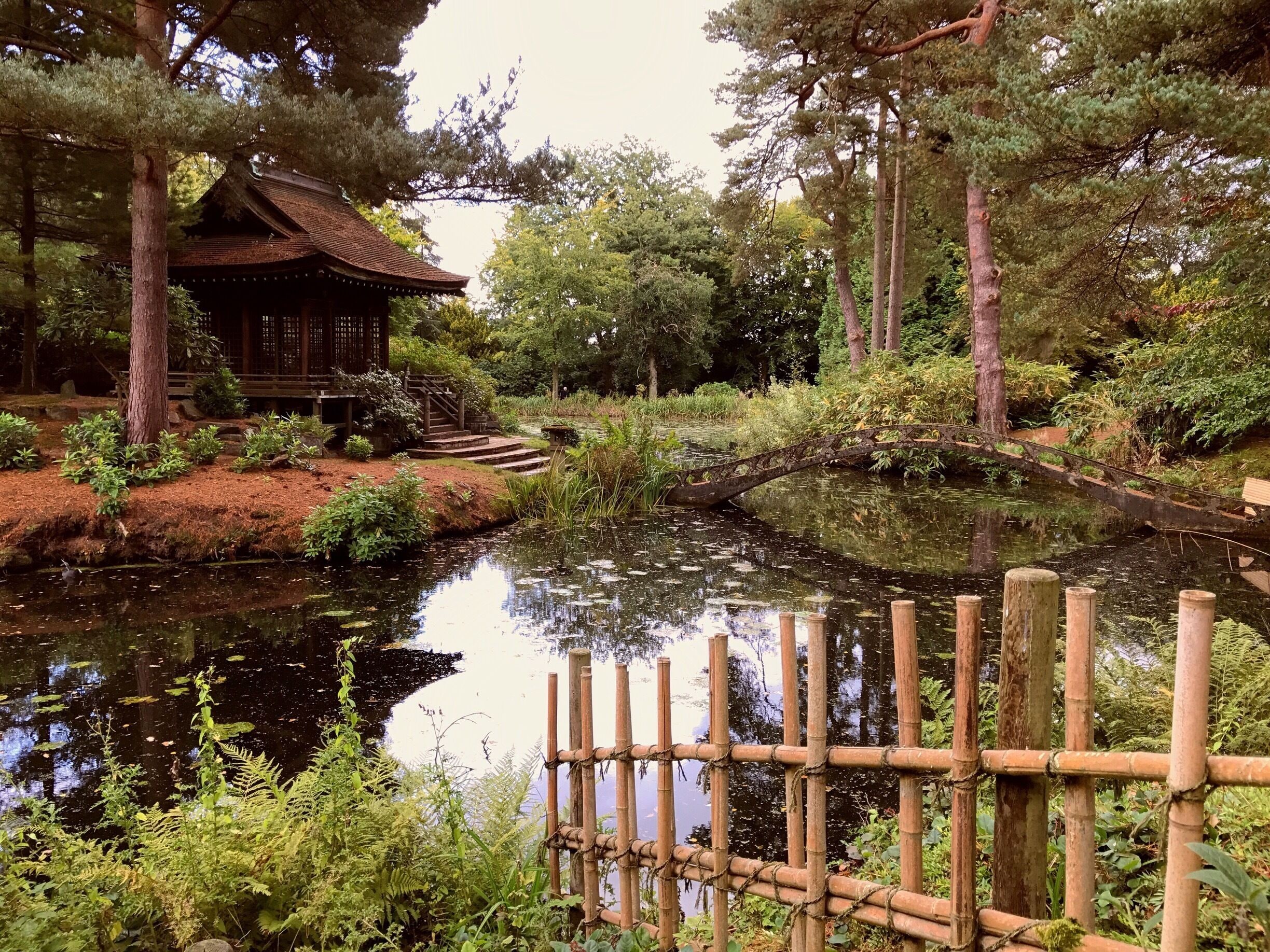 The Japanese Garden at Tatton Park. 