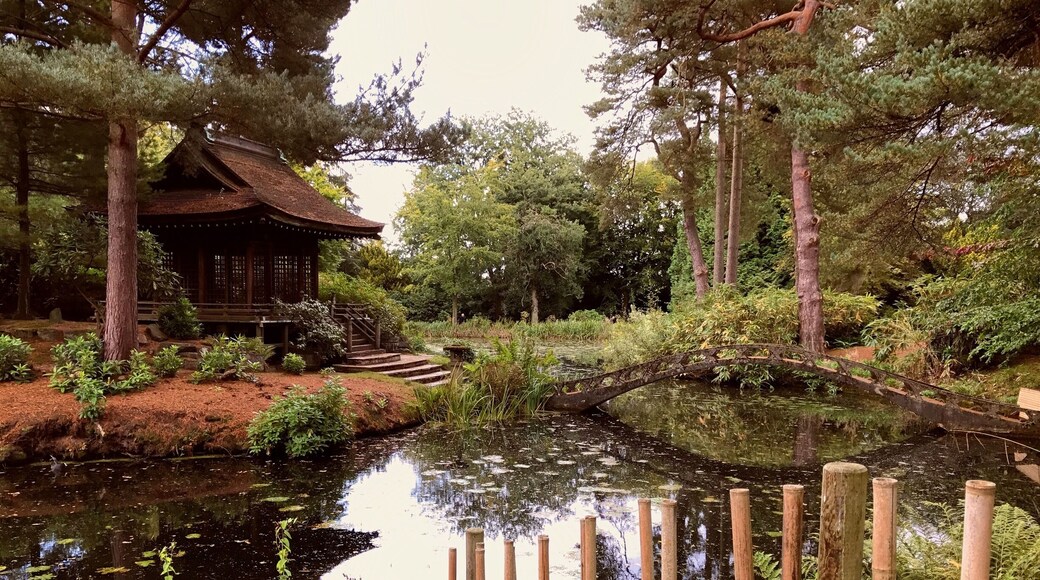 The Japanese Garden at Tatton Park.