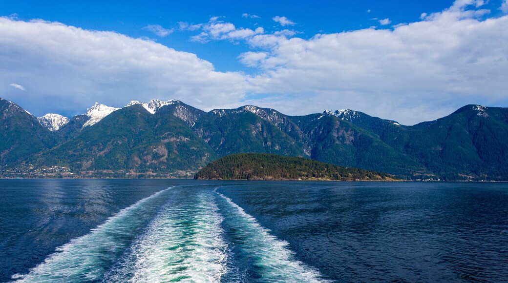 Ship Wake Coast Mountains