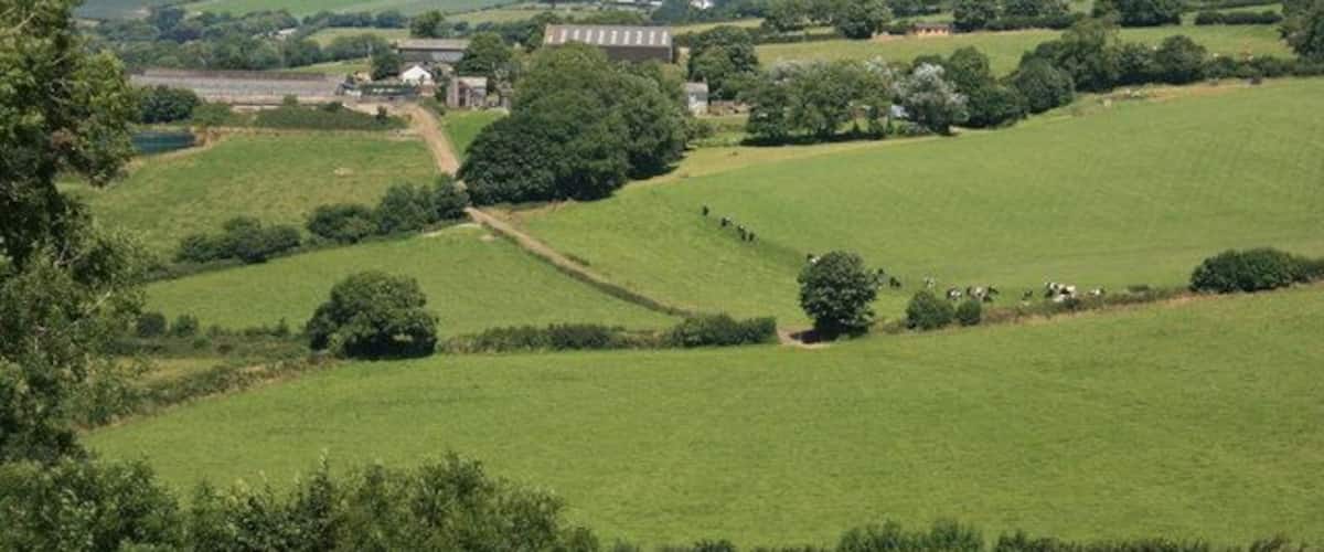 Bocaddon Farm Bocaddon farm and hamlet taken from near the Giant's hedge.