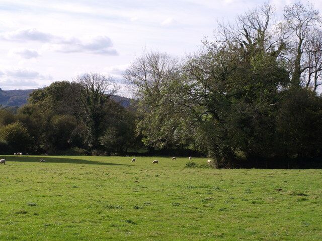 Field near Coad's Green Sheep graze in an L-shaped meadow (the inward angle is on the right) beside the B3257 immediately north of Coad's Green, which lies on the watershed between the Inny and Lynher. In the far corner of the field rises a headwater of a tributary of the Lynher.