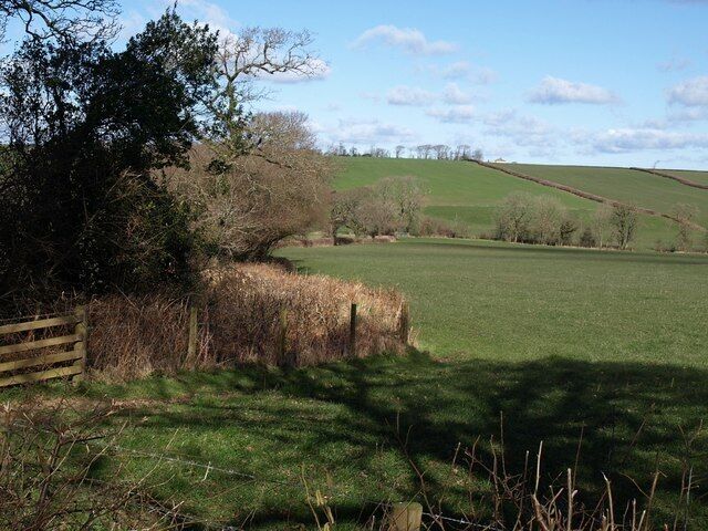 Field in the Ottery valley The line of trees on the right marks the line of the River Ottery, flowing to the right. The field is seen from the lane between Canworthy Water and Treburtle.