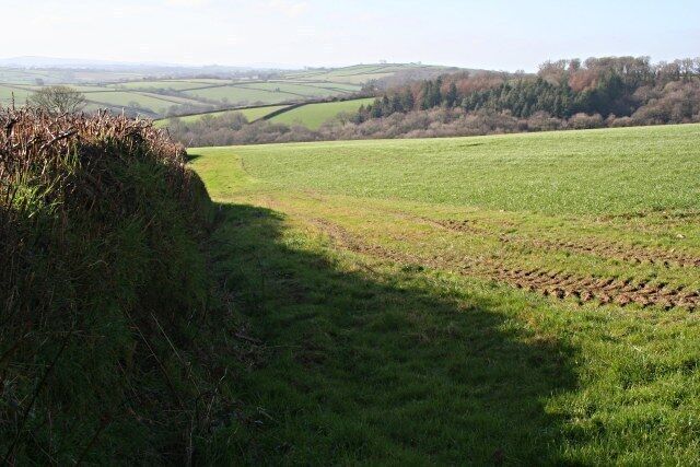 Farmland and Hurdondown Wood Somewhere in the dip between the field and the woodland is the main A388 road.