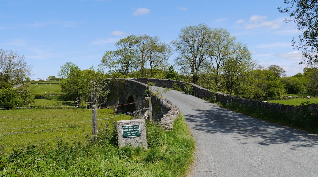 Higher new bridge. Cornwall.