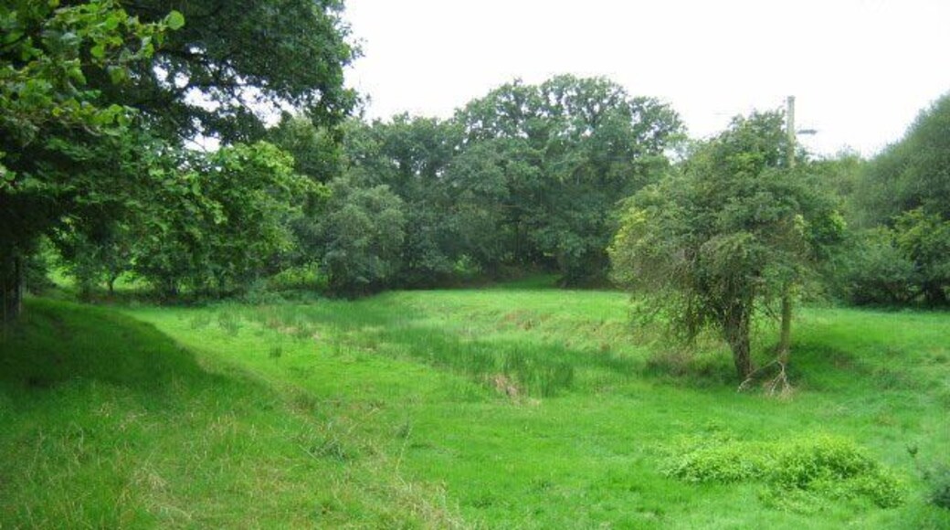 Canal basin The depression shown in the picture was a basin on the Launceston branch of the Bude Canal, which was constructed in the 1820s and ceased to operate in about 1891. More excellent info on this is available at http://www.bude-canal.co.uk/