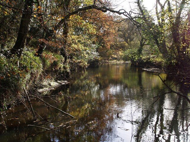 River Tamar. This photo looks almost exactly along the gridline. On the left, the river is running (away from the camera) beside Northcott Wood, which rises up a hill. On the right (the direction from which the river has come) are level meadows. A small watercourse entering immediately to the left of the camera is the tail race from 606413.