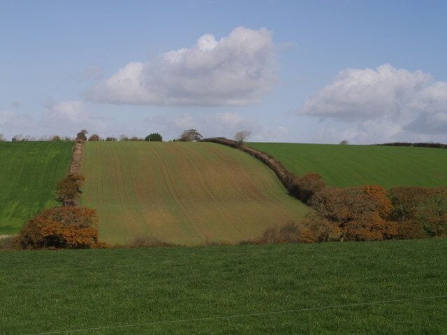 A rolling green field with a curved hedge and a clear sky.
