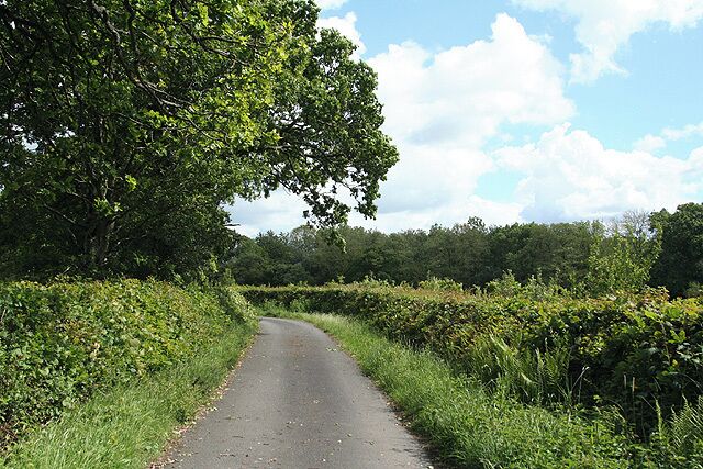 Broadwoodwidger: lane to Coombe Mill Looking south-south-east on a no-through road