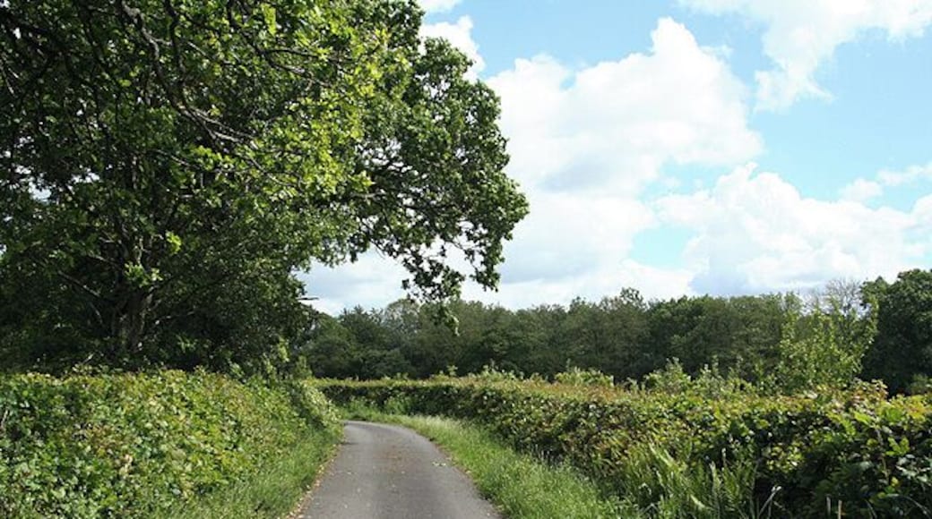 Broadwoodwidger: lane to Coombe Mill Looking south-south-east on a no-through road