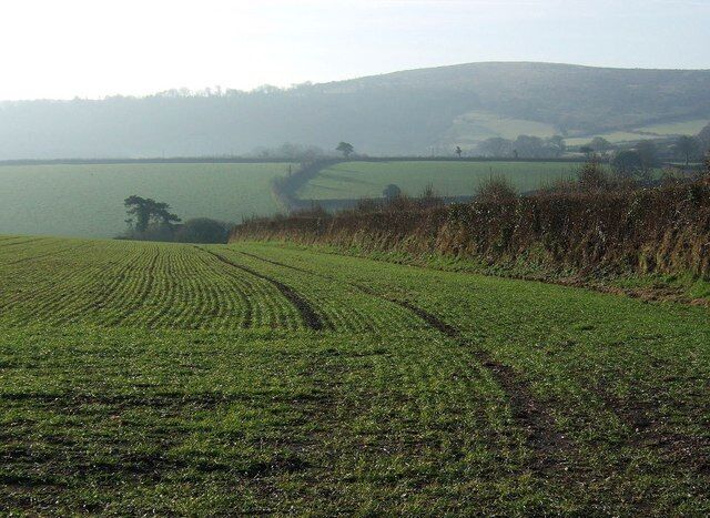 Field near Trevadlock Hall Park The hedge curves away to cross into SX2579. The hidden valley is of the Lynher; beyond are fields east of Trekernell in SX2578. On the horizon is Bodmin Moor.