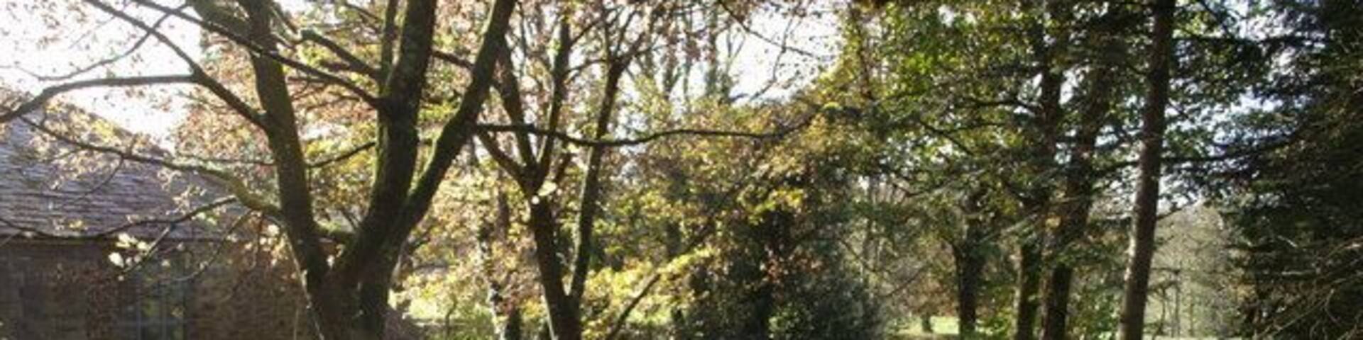 Bridleway past Boyton Mill. Northcott Bridleway 1 drops past 610291, just out of sight on the left, following a course between the bypass leat and the millwheel tail race as it descends to the Tamar valley floor.