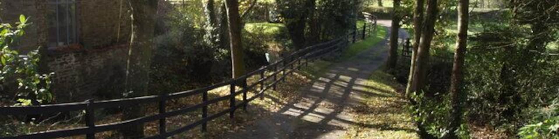 Bridleway past Boyton Mill. Northcott Bridleway 1 drops past 610291, just out of sight on the left, following a course between the bypass leat and the millwheel tail race as it descends to the Tamar valley floor.