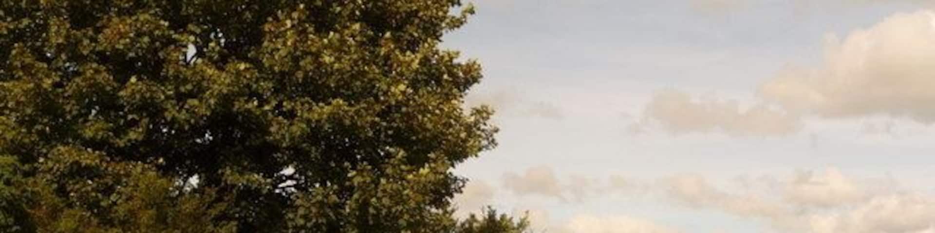 Kennards House: postbox № PL15 31 A small postbox on the old course of the main road, dating before the main dual carriageway was put through: at the extreme right-hand edge of the picture, a redundant cat's eye can be discerned, now occupying a curiously non-central position in a little driveway. The postbox is emptied at 10:30 each morning except Sunday.