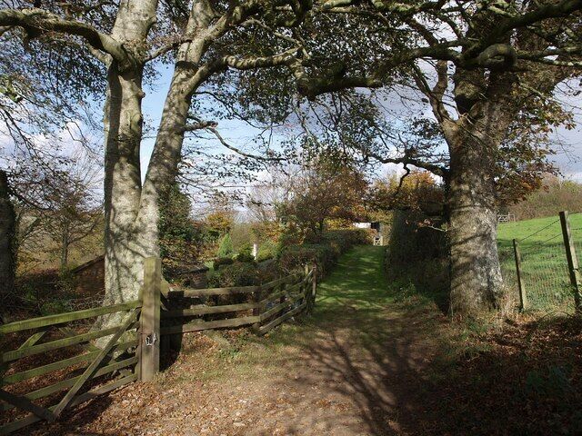 Footpath past Mount Pleasant This track, followed by Northcott Footpath 4, runs along the edge of the Tamar valley which drops away to the left.