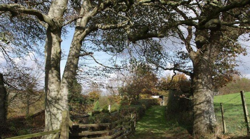 Footpath past Mount Pleasant This track, followed by Northcott Footpath 4, runs along the edge of the Tamar valley which drops away to the left.