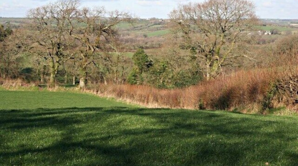 Pasture near Little Athill